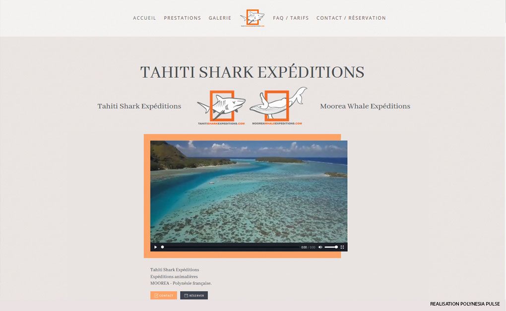 Tahiti Shark Expéditions