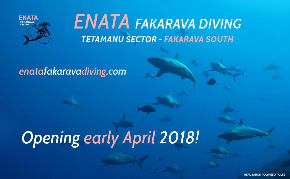 Enata Diving Center